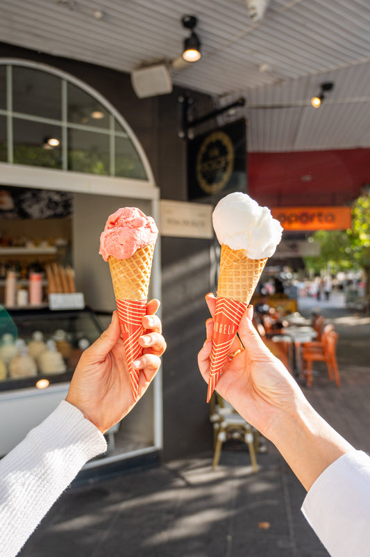 1L Gelato/Sorbet  Tub